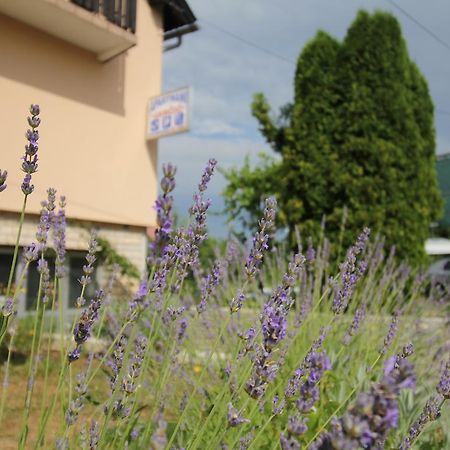 Apartments Jancic Grabovac  Exterior foto