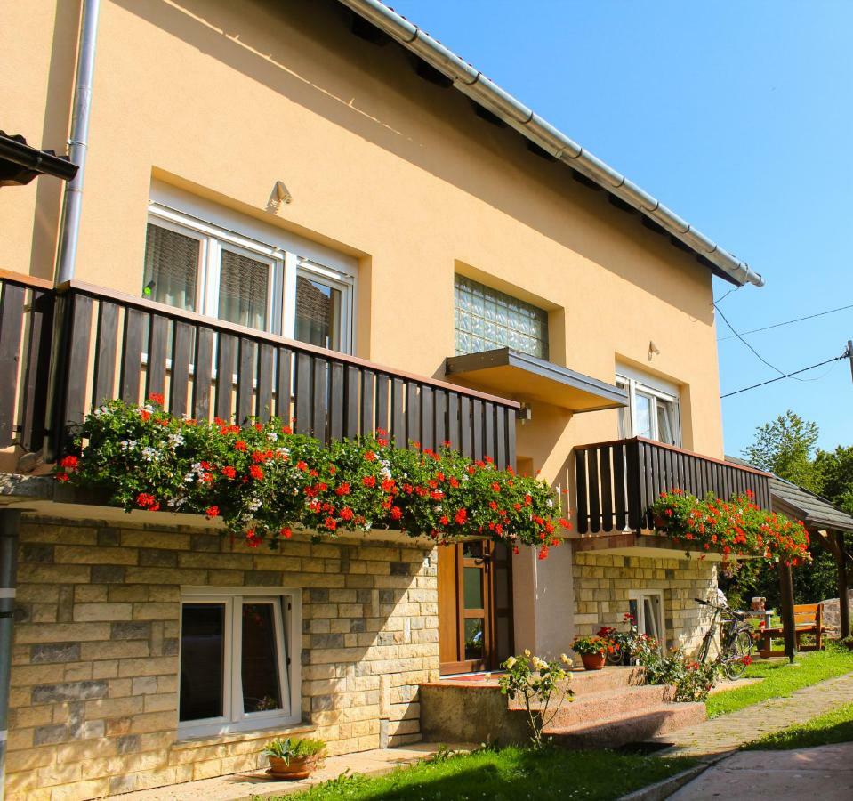 Apartments Jancic Grabovac  Exterior foto