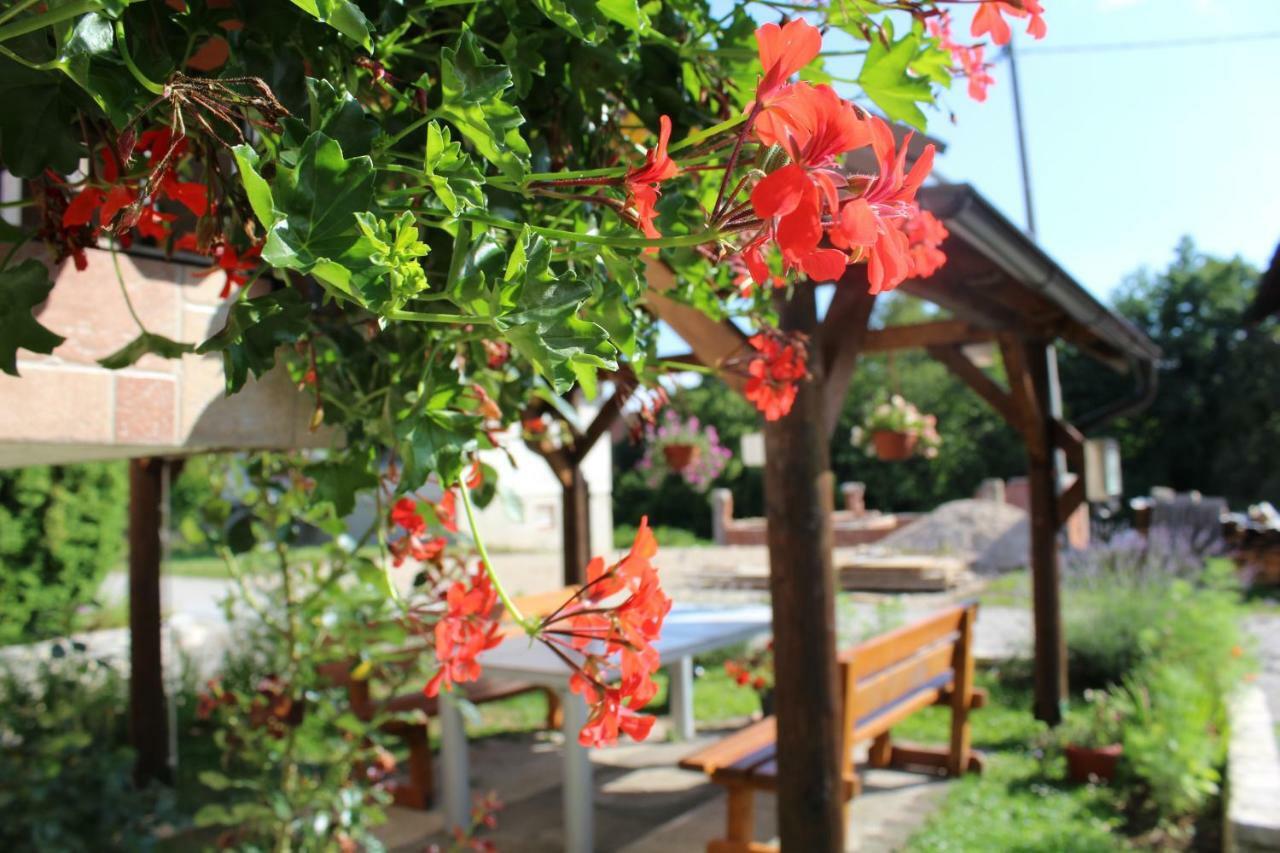 Apartments Jancic Grabovac  Exterior foto